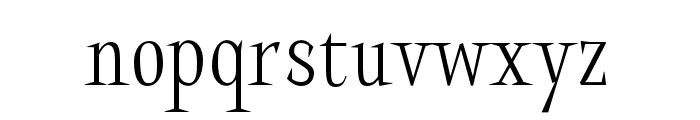 Halibut Serif Condensed Font LOWERCASE