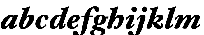 Hoefler Text Black Italic Font LOWERCASE