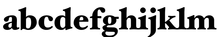 Hoefler Text Black Font LOWERCASE