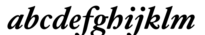 Hoefler Text Bold Italic Font LOWERCASE