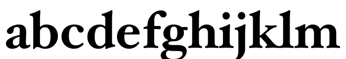 Hoefler Text Bold Font LOWERCASE