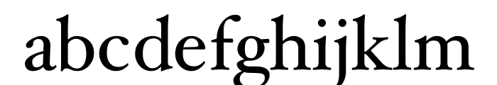 Hoefler Text Roman Font LOWERCASE