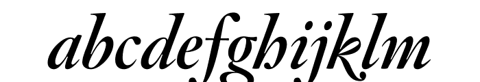 Hoefler Titling Bold Italic Font LOWERCASE