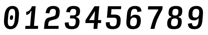 Input Serif Compressed Medium Italic Font OTHER CHARS