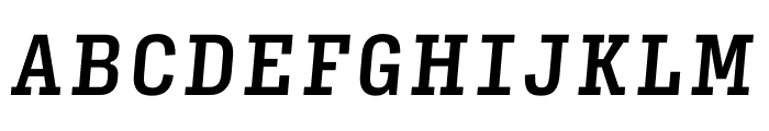 Input Serif Compressed Medium Italic Font UPPERCASE