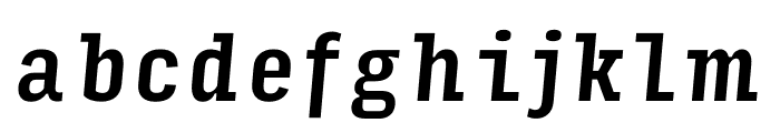 Input Serif Compressed Medium Italic Font LOWERCASE