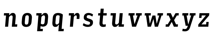 Input Serif Compressed Medium Italic Font LOWERCASE