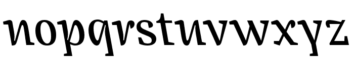 Janus CounterItalic Font LOWERCASE