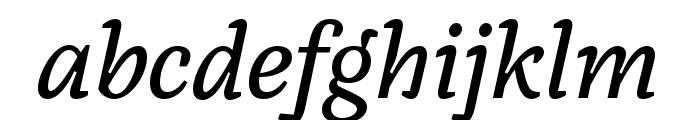 Janus Italic Font LOWERCASE