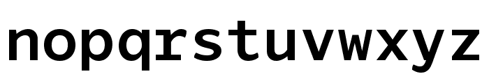 LTVeritasMono Bold Font LOWERCASE