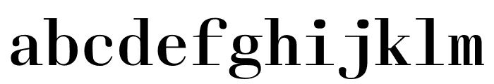 Laplace Mono Regular Font LOWERCASE