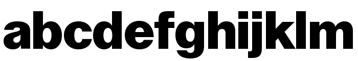 LayGrotesk Black Font LOWERCASE