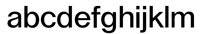 LayGrotesk Medium Font LOWERCASE