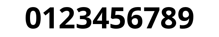 LiZahirRayhanUnicode Regular Font OTHER CHARS