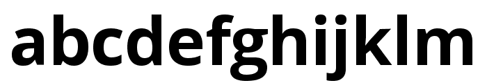 LiZahirRayhanUnicode Regular Font LOWERCASE