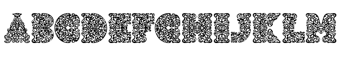 Lithops Regular Font UPPERCASE