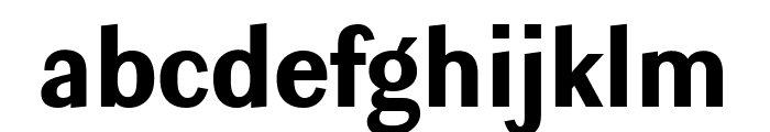 Ludwig Condensed Black Font LOWERCASE