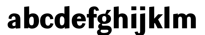 Ludwig Condensed ExtraBlack Font LOWERCASE