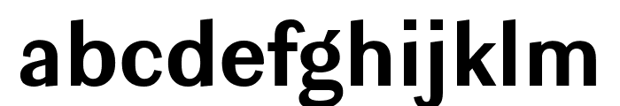 Ludwig SemiCondensed Bold Font LOWERCASE