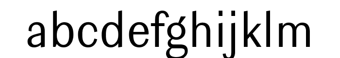 Ludwig SemiCondensed Light Font LOWERCASE