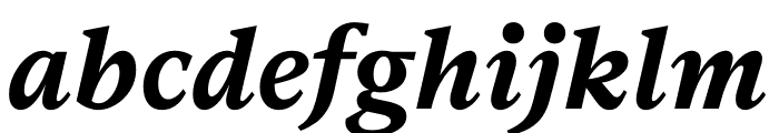 Messina Serif Bold Italic Font LOWERCASE