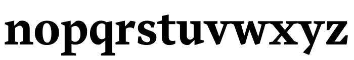Messina Serif Bold Font LOWERCASE