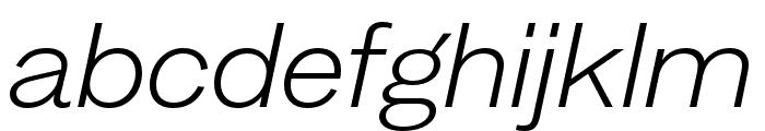 MintGrotesk LightItalic Font LOWERCASE