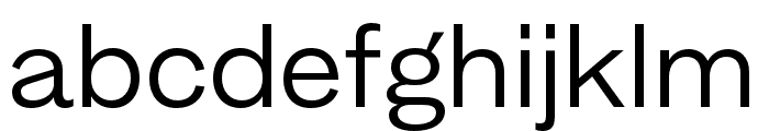 MintGrotesk Regular Font LOWERCASE
