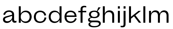 MintGroteskDisplay Regular Font LOWERCASE