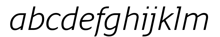 Monitor Light Italic Font LOWERCASE