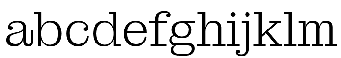 MontaguSlab144pt Light Font LOWERCASE