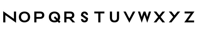 NSType Mono A Font LOWERCASE