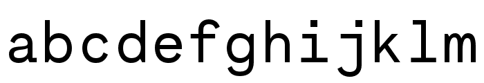 Necto Mono Regular Font LOWERCASE