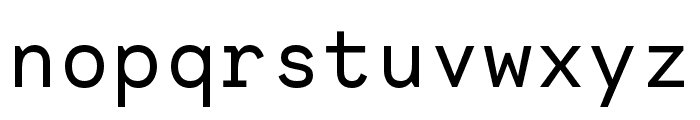 Necto Mono Regular Font LOWERCASE