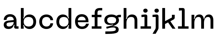 Neue Machina Medium Font LOWERCASE