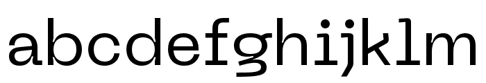Neue Machina Regular Font LOWERCASE