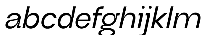 Neue Regrade Medium Italic Font LOWERCASE