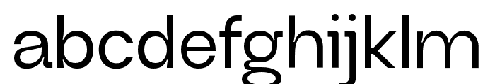 Neue Regrade Medium Font LOWERCASE