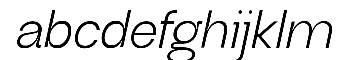 Neue Regrade Regular Italic Font LOWERCASE