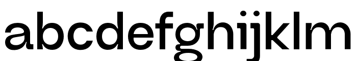 Neue Regrade Semibold Font LOWERCASE