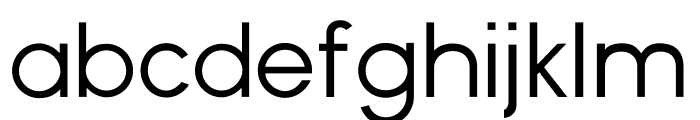 Noir Regular Font LOWERCASE