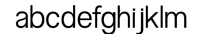 NonBureau Light Font LOWERCASE