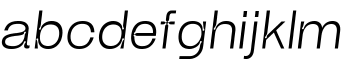 NotchGrotesk Ltitalic Font LOWERCASE