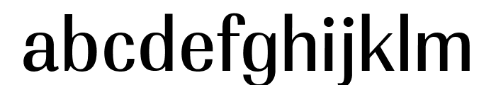 PF Marlet Text Medium Font LOWERCASE