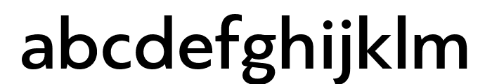 PFBagueSansPro-Medium Font LOWERCASE
