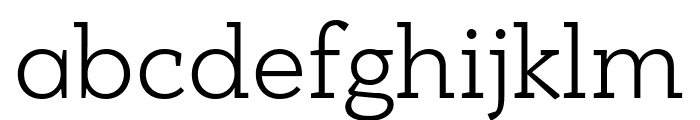 PFBagueSlabPro-Light Font LOWERCASE