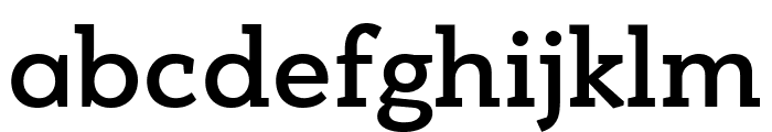 PFBagueSlabPro-Medium Font LOWERCASE