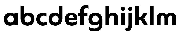 PFBagueUniPro-Bold Font LOWERCASE