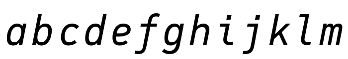 PFDINMonoPro-Italic Font LOWERCASE