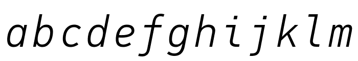 PFDINMonoPro-LightItalic Font LOWERCASE